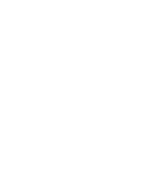 L-Arginine Icon