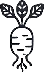 Maca Root Icon